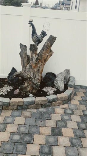 wrapped up the back yard for winter, waiting for spring