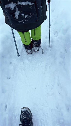 SteVe (@steve_use.r)’s videos with оригинальный звук - smoki.muz