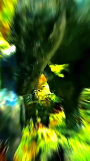 #CapCut ¿Cuál es tu dino favorito de jwd? #parati #fvp #lomejordelosdinosaurios #dinosaurios #jwp #jurassicworldedit #jurassicworlddominion #jurassicworld #jurassicpark #movies #foryoupage #atrociraptor #pyroraptor #velociraptor #therizinosaurus #rexy #giganotosaurus #viral