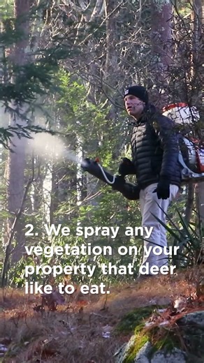 How Does A Winter Deer Service Work? | #winter #deer