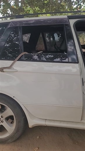 7.2K views · 52 reactions | #python #burmesepython #burm #burmese #snake #foryou #fyp #fypシ #explore #explorepage #foryoupage #everglades #florida #floridaman #nature #wildlife #invasivespecies #invasive | SnakeWorld TV | Facebook