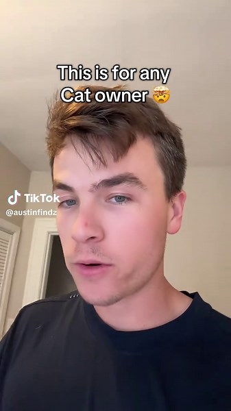 This litter box makes its super easy cleaning up after your cat #litterboxcleaning #litterboxhack #cat #litterbox #cats