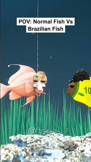 Normal Fish vs Brazilian Fish