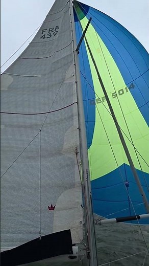 Dehler 34 #sailing #water #wind #spinnaker #boat