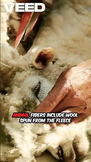 Fibre to Fabric in 60 Seconds | Class 6 Science Explained Fast!#facts #trend