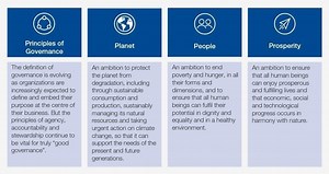 Why sustainability reporting is vital to tackling climate change
