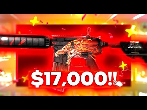 I Pulled a $17,000 Howl on Rain.GG!