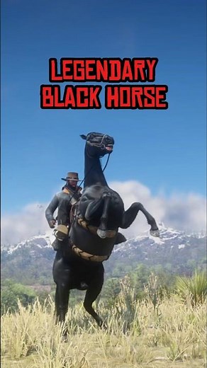 Get Legendary 100% BLACK Horse Locations (Extremely Rare) RDR2