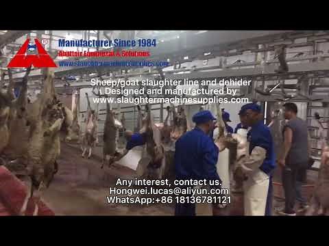 How sheep slaughterhouse equipment works? Goat sheep abattoir slaughtering equipment manufacturer