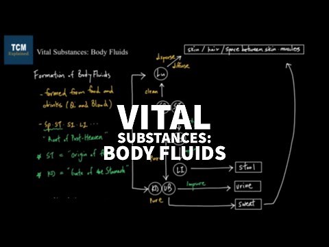 TCM Theory of Vital Substances: Body Fluids