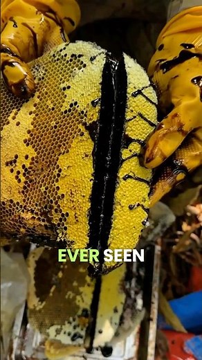 Rare black honey