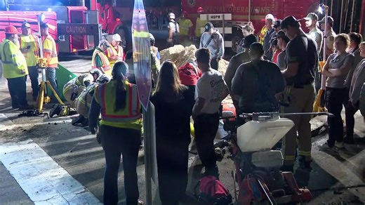 Crews get ready to rescue manatee stuck inside storm drain in Brevard County | WESH 2 News