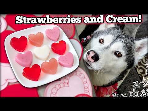 Valentine's Day Strawberry and Cream Gummy Dog Treats ❤️ DIY Dog Treats