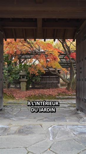 La ville de Himeji 🏯 Prenez le temps de découvrir Himeji ! Idéalement située sur la route entre Osaka et Hiroshima, c’est une ville à l’ambiance très agréable, son fameux château en toile de fond, où l’on peut découvrir de superbes endroits chargés d’histoire ! 📍 Le château de Himeji 📍 Le jardin Koko-en 📍 Le temple Engyo-ji 📍 Le café Kokuraya 📍 Le café Pan To Espresso To Himeji-jo 📕 Mon livre "47 régions du Japon" est disponible sur Kickstarter jusqu'au 3 décembre, le lien est dans ma bio
