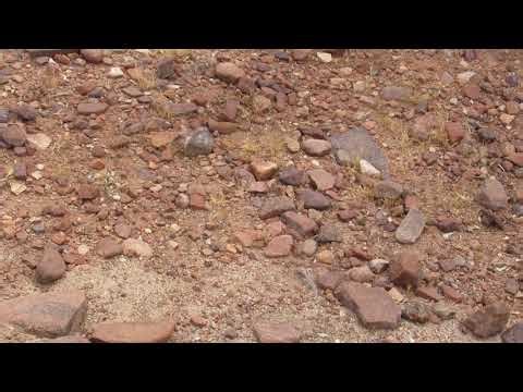 Superstition Mountains. A Plane Crash Tragedy