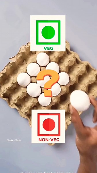 Vegetarians Can Eat Eggs (Explained) 🥚🤔 #shorts #facts #egg #vegornonveg #chicken #eggrecipe #vegan