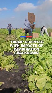 As the Trump administration has doubled down on its hardline immigration agenda, behind the scenes senior Trump officials and the president himself have grappled with the consequences of that crackdown against a key portion of the workforce: migrant workers. CNN's Priscilla Alvarez reports. https://cnn.it/44KFICa | CNN