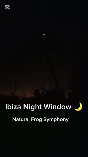 Ibiza Night Window 🌙 Natural Frog Sounds for Deep Relaxation