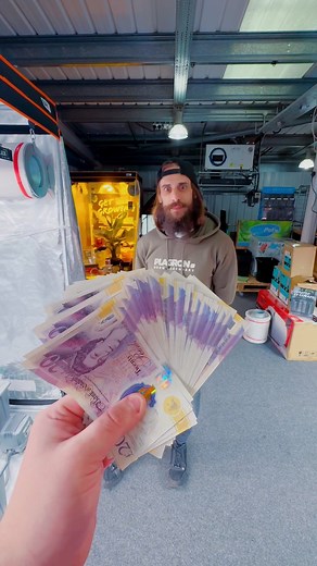 Ready to get growing indoors for under £250? Here’s what you can get… 😎 #hydroponics #growingindoors #BeginnerGrower #growtok #onestopgrowshop #GrowTips #growroom #hydroponicgarden | One Stop Grow Shop Hydroponics