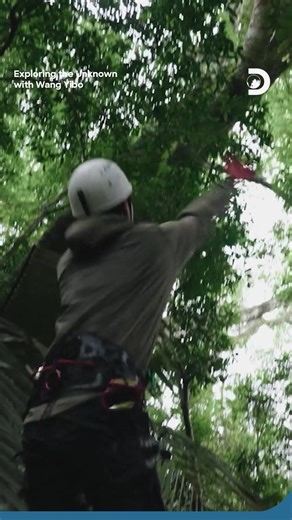 When curiosity meets courage, the adventure begins. 🌟​ Follow Wang Yibo as he dives into the unknown. 🌍​ 📺 Exploring the Unknown with Wang Yibo - Premieres 28 Dec on Max and Discovery Channel Southeast Asia. ​ @yibo.w_85 @yibo__official @streamonmaxsg @streamonmaxmy @streamonmaxth @streamonmaxid @streamonmaxph @streamonmaxtw @streamonmaxhk #MaxAsia #Discovery #DiscoveryChannel #DiscoverySEA #ExploringtheUnknown #WangYibo | Discovery Channel Southeast Asia