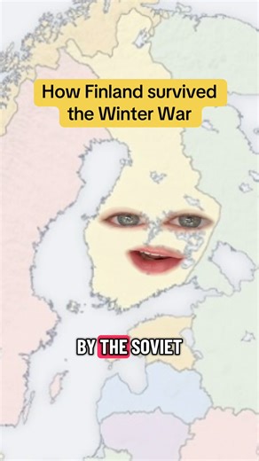How Finland survived the Winter War #shorts