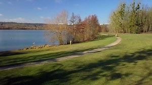 19K views · 674 reactions | Si docile, si fragile - Elsa Esnoult ❤️ | I give you my song | Facebook