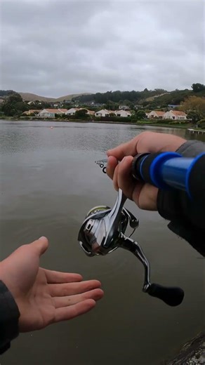Catching a fish on $8 Temu fishing rod