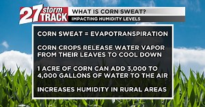 How corn crops contribute to the Midwest's humidity levels