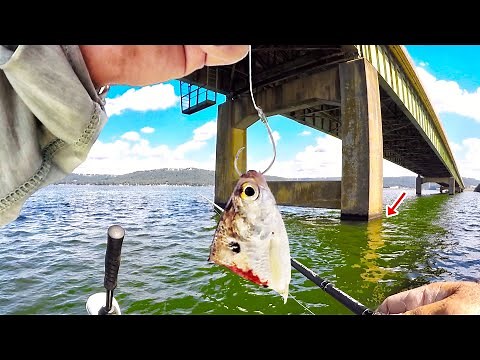 How To Locate & Catch Catfish Easy On Your Lake! Simple Catfish Rig