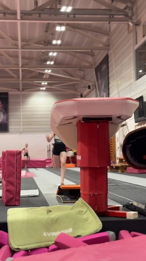 13K views · 27 reactions | Flip, shine, repeat ✨️ #Gymnastics #Leotards #Tumbling #Gymnasticslife #Dancewear | Pink Leisurewear | Facebook