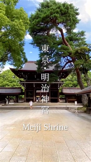 東京・明治神宮 Meiji Shrine, Tokyo #渋谷 #shibuya #tokyo #japantravel #shrine #パワースポット #東京明治神宮