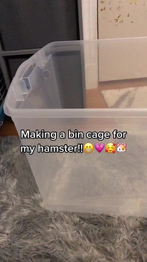 Creating a Cozy Bin Cage for Your Happy Hamster
