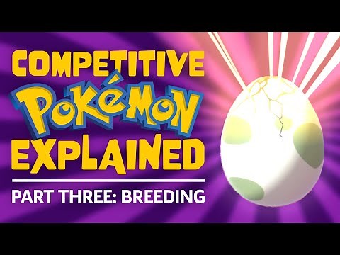 Breeding And EV Training - Competitive Pokemon Explained Part 3