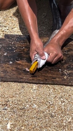 😱 Amazing Fish with a Strange Feature! 🐟✨#viral #viralshorts #viralvideo
