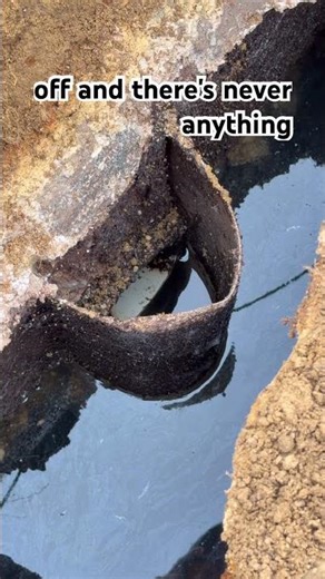 This Septic Baffle Always Fails