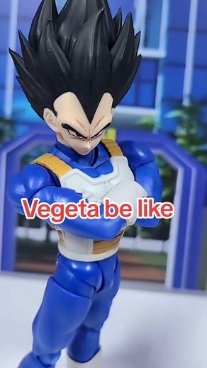 vegeta be so cold with it🥹 #dragonball #dragonballz #dragonballsuper #db #dbz #dbs #dbzshfiguarts #shfiguarts #bandai #toeii #tamashiinations #pbandai #premiumbandai #collection #collector #anime #toys #toyphotography #anime #goku #vegeta #myshfdragonball #toyark #premiumbandaiusa #dragonball_nations #fyp #trending | The Figure Fanatic