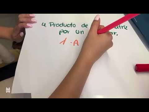 Operaciones con matrices