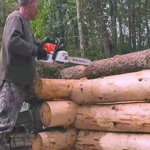 2K views · 52 reactions | building a tiny rustic wilderness log cabin (episode 12)--000-000 | Rosalie Kasper | Facebook