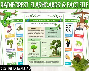 All About the Rainforest Habitat | the Rainforest Fact File | Rainforest Animal Flashcards | Rainforest Plants Flashcards | Printable | PDF - Etsy