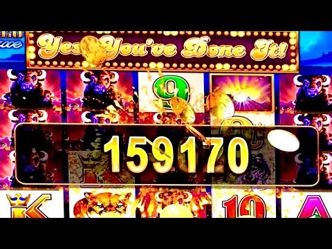 MASSIVE BUFFALO DELUXE BACK TO BACK WINS #slotman #buffalo #casino #slotmachine #jackpot