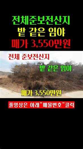 [1573] Semi-preservation forest area, accessible woodland with excellent road frontage for sale #...