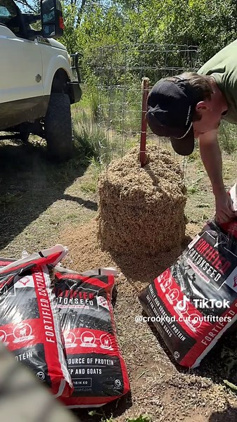 Year-Round Whitetail Deer Hunting Strategies