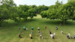 17 reactions | NOT AVERAGE! There are a lot of dog trainers in DFW….choose yours wisely! | K9 Control | Facebook