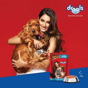 10K reactions · 48 shares | If your pooch is not eating well, maybe...