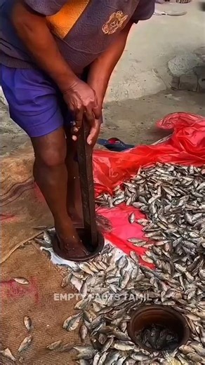 Why Are They Stepping on Fish? 😱 #shortsvideo