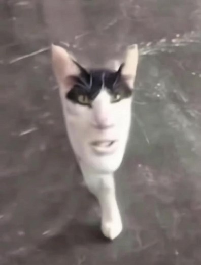 Hilarious Airport Moments That Will Make You Laugh