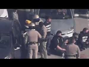 Protesters halt traffic on the 110 Freeway in Downtown LA