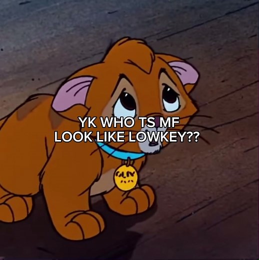 Lowkey Warrior Cats and Disney Comparisons