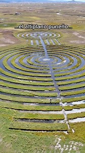 689K views · 81K reactions | Gracias a Qhapaq Adventures ellos gestionan nuevos destinos turísticos en la ciudad de Puno con conexión Bolivia y que tienen a su cargo Hoteles en el centro de la ciudad quienes le darán un precio especial Para mas informacion +51998666667  | Ale Pinedo Tv | Facebook