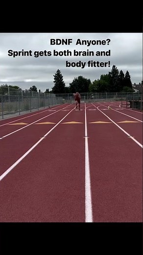 Exercise Stimulates BDNF (Brain-Derived Neurotropic Factor)